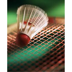Badminton