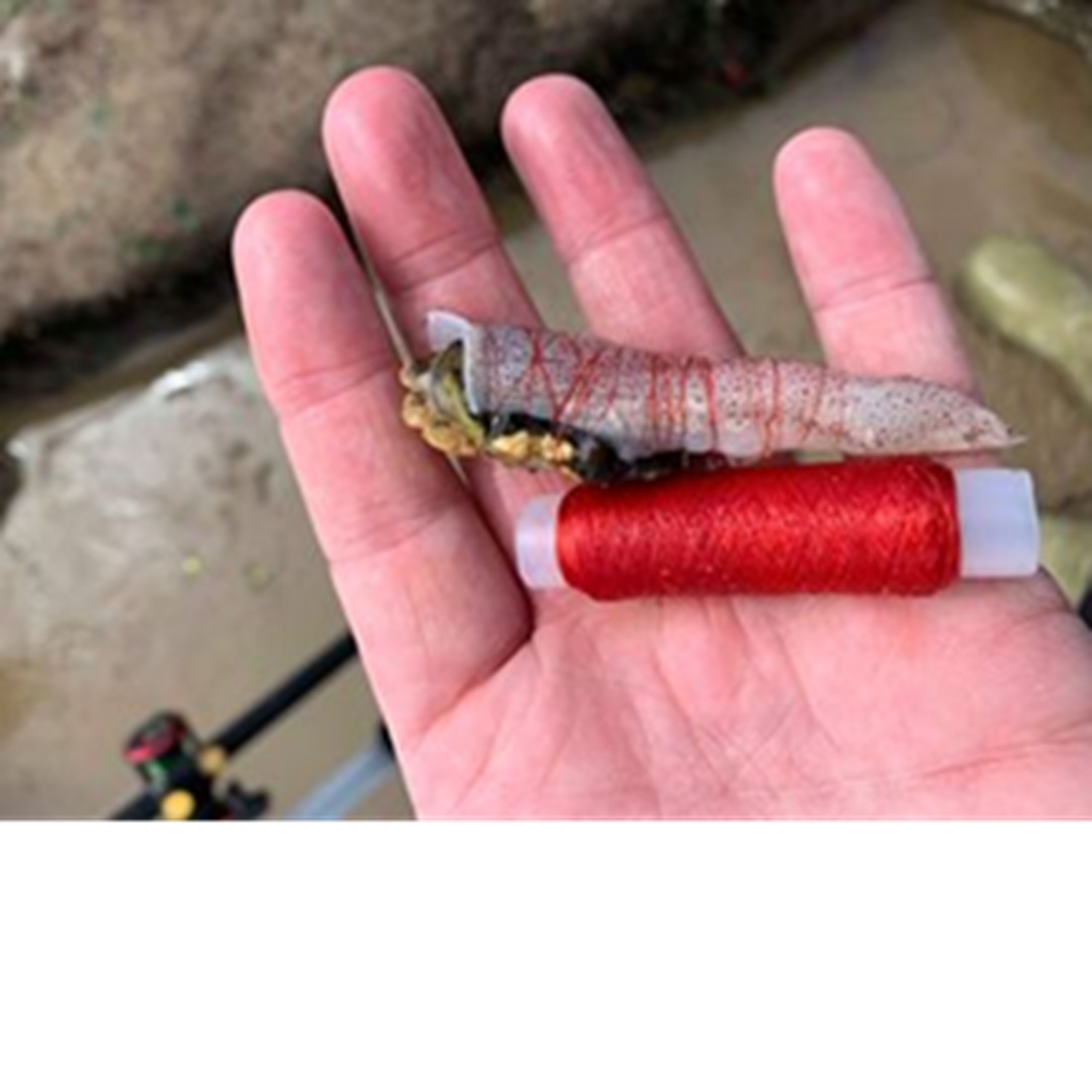 ELASTICO SILICON ROJO 100m app - Imagen 6